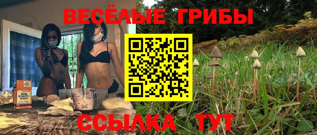 Псилоцибиновые грибы MAGIC MUSHROOMS  Вход с VPN  Гай 